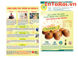 In tờ rơi giới thiệu sản phẩm trứng gà omega-3 cho Công ty TNHH Bàn Tay Vàng