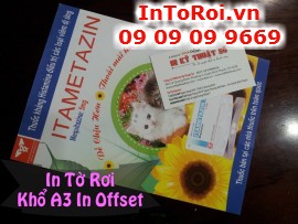 In tờ rơi khổ A3 in offset