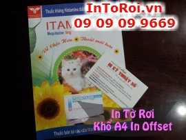 In tờ rơi khổ A4 in offset
